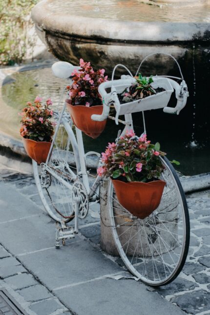 Bicycle Flower Stand